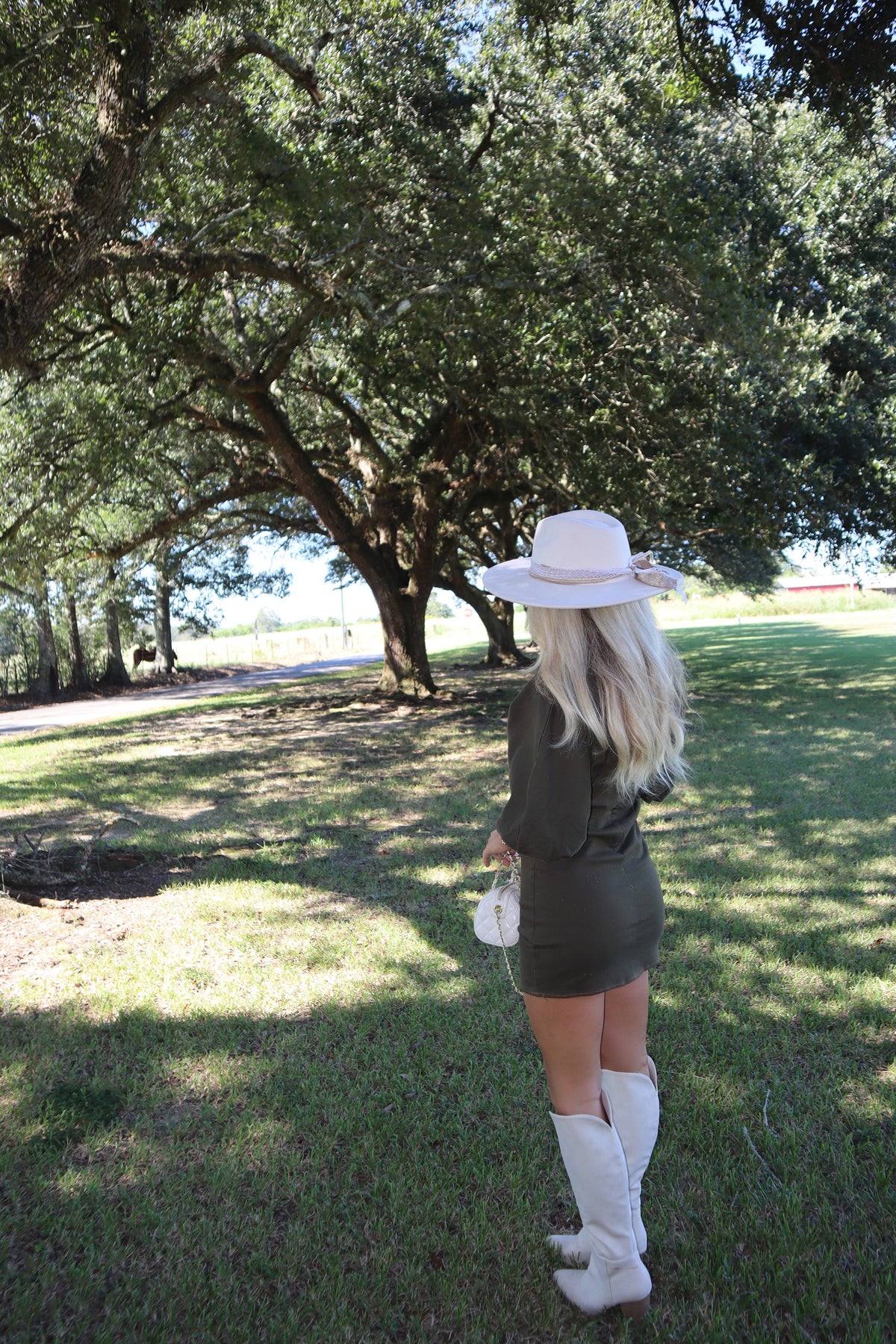Olive Mini Dress- Denim Blend