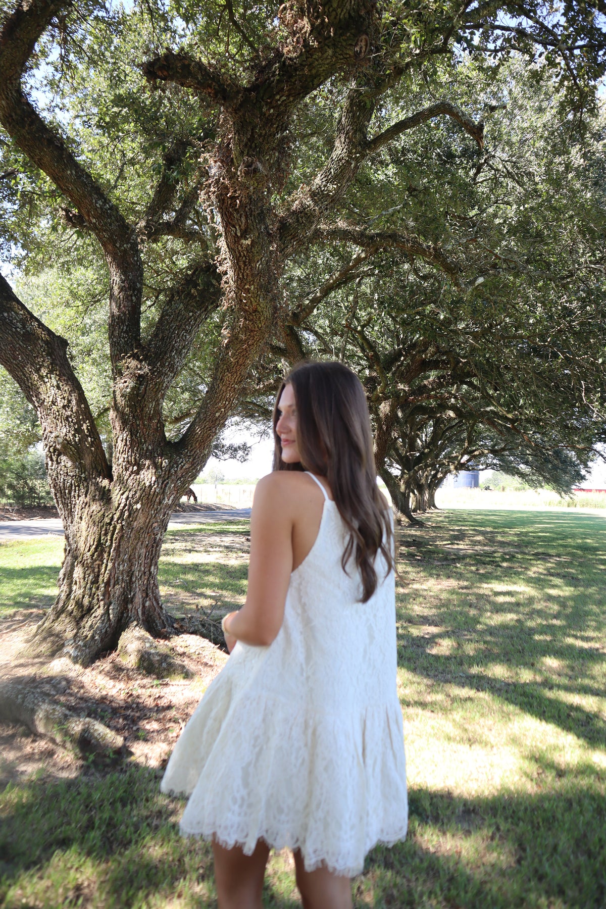 Acorn Lace Mini Dress
