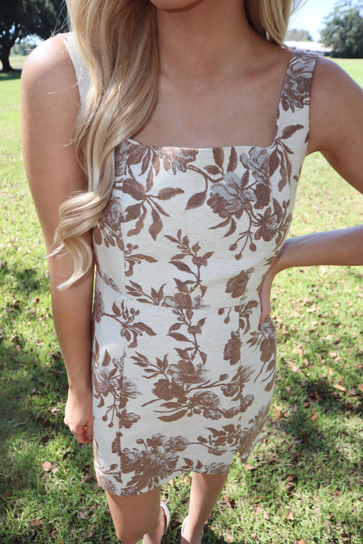 Pecan Mini Dress
