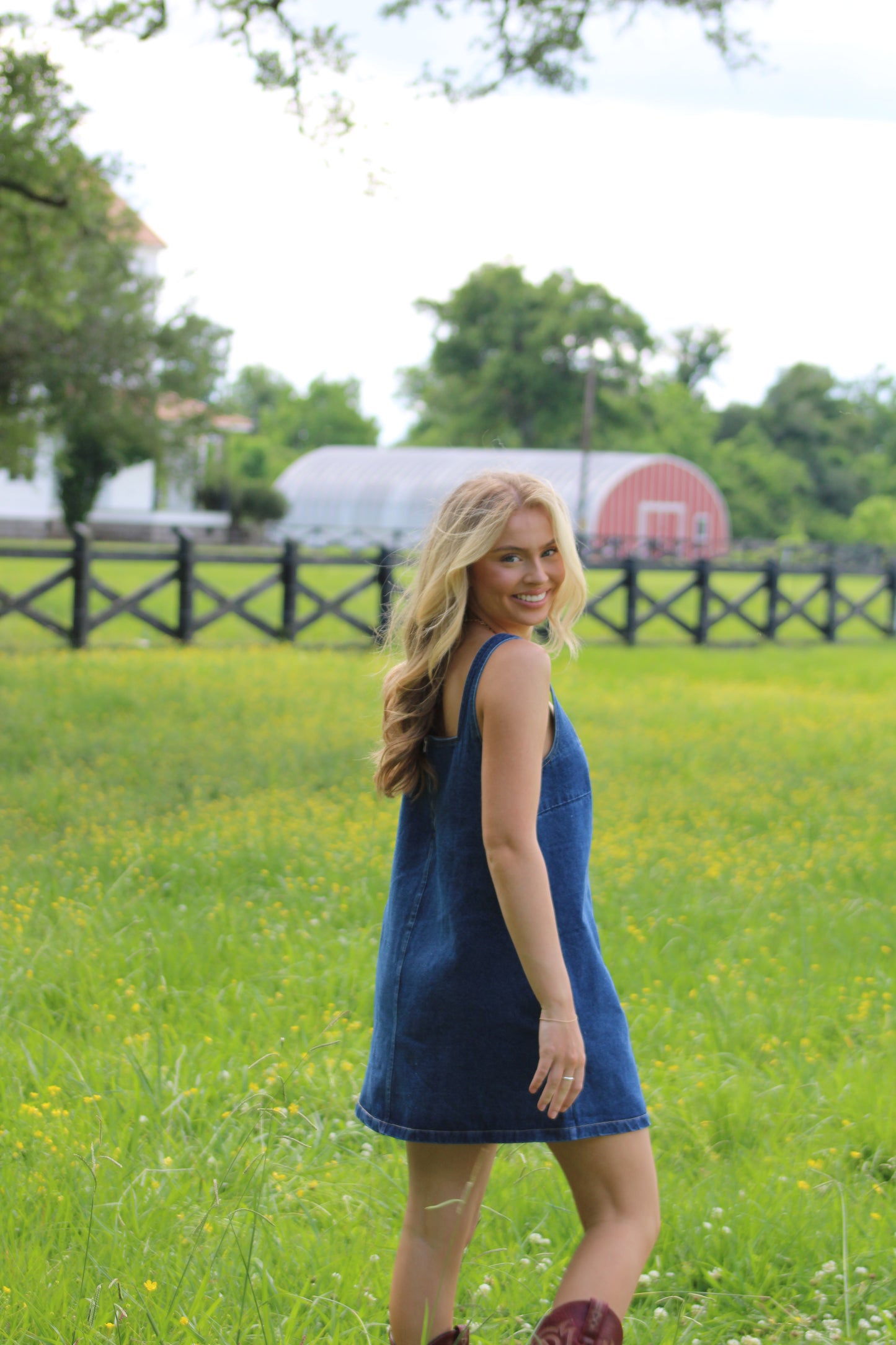 Faith Denim Dress