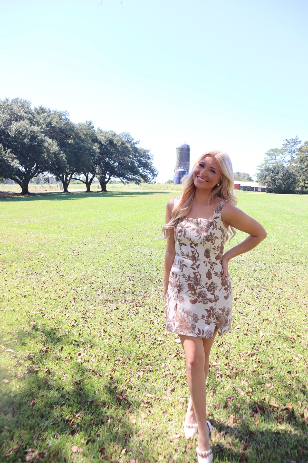 Pecan Mini Dress