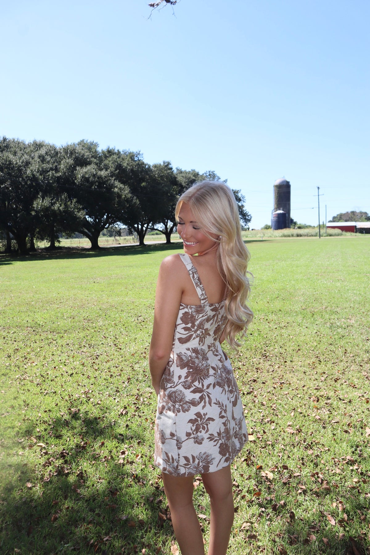 Pecan Mini Dress